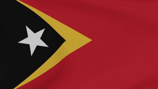 Zászló East Timor patriotizmus nemzeti szabadság, zökkenőmentes hurok — Stock videók