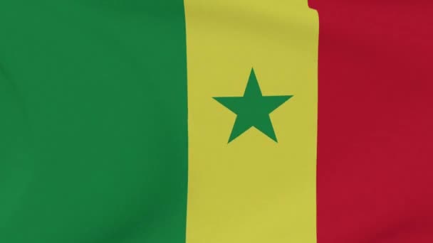Senegal vatanseverliğinin bayrağı Ulusal özgürlük, kusursuz döngü — Stok video