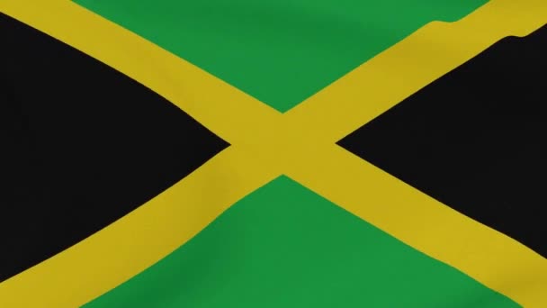 Drapeau Jamaïque patriotisme liberté nationale, boucle transparente — Video