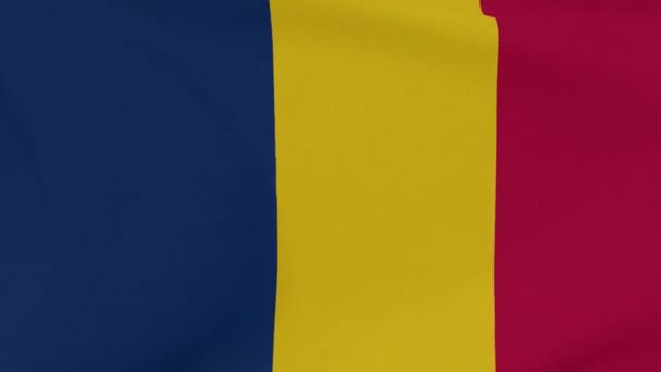 Flagga Tchad patriotism nationell frihet, sömlös loop — Stockvideo