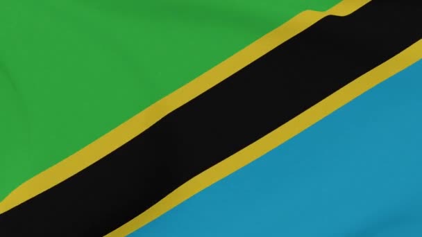 Flaga Tanzania patriotyzm wolność narodowa, płynna pętla — Wideo stockowe