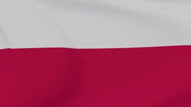 Polonya 'ya vatanseverlik, ulusal özgürlük, kusursuz döngü
