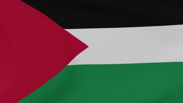 Flaggstaten Palestinas patriotism nationell frihet, sömlös loop — Stockvideo
