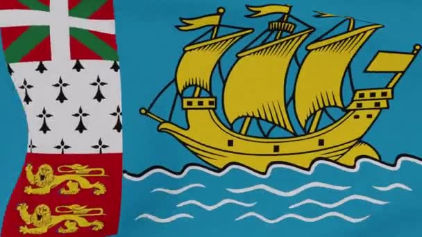 Bandiera Saint Pierre e Miquelon patriottismo libertà nazionale, anello senza soluzione di continuità — Video Stock