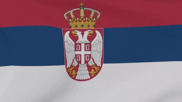 Bandera Serbia patriotismo libertad nacional, bucle sin fisuras — Vídeos de Stock