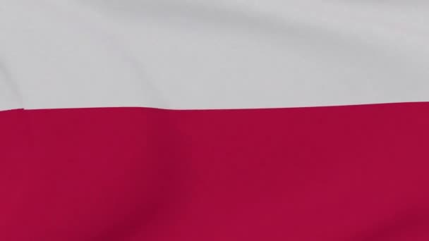 Flagge Polen Patriotismus nationale Freiheit, nahtlose Schleife — Stockvideo