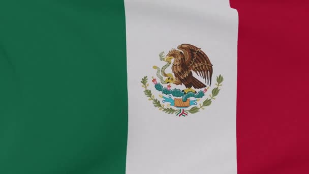 Флаг Мексики патриотизм национальная свобода, бесшовный цикл — стоковое видео