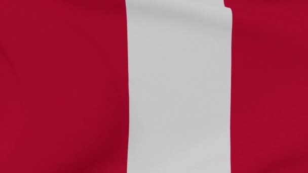 Flagge Peru Patriotismus nationale Freiheit, nahtlose Schleife — Stockvideo