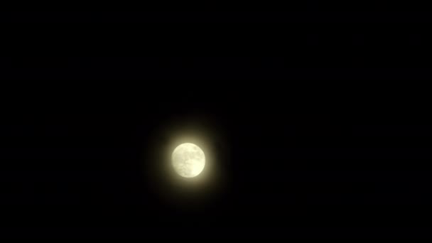 在夜晚的风暴中，满月的黄月和被风吹来的云. — 图库视频影像