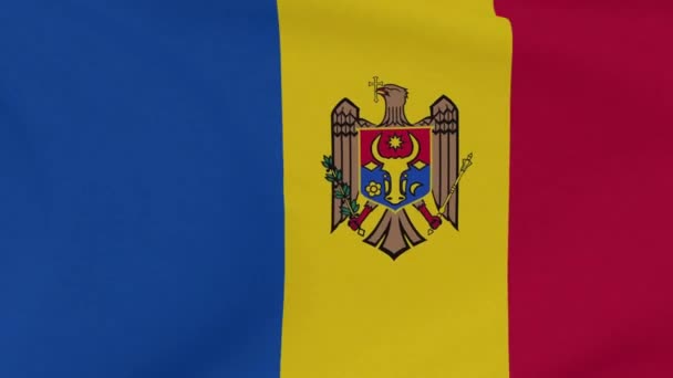 Drapeau Moldavie patriotisme liberté nationale, boucle transparente — Video