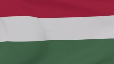 Macaristan vatanseverliği ulusal özgürlük, kusursuz döngü
