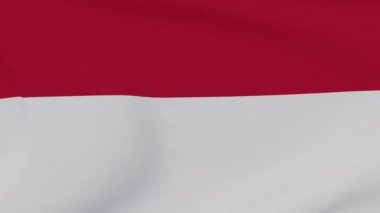 Monako vatanseverliğinin bayrağı Ulusal özgürlük, kusursuz döngü