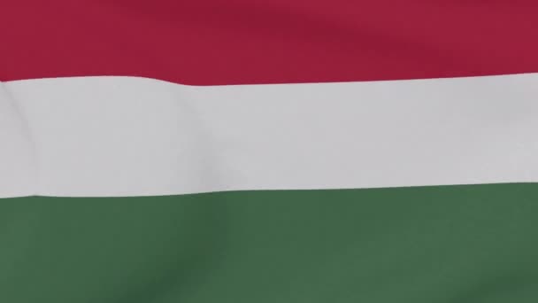 Flagga Ungern patriotism nationell frihet, sömlös loop — Stockvideo