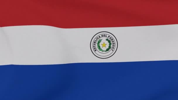 Flaga Paragwaj patriotyzm wolność narodowa, płynna pętla — Wideo stockowe