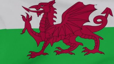 Büyük Britanya vatanseverliği ulusal özgürlük, kusursuz döngü