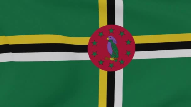 Flag Dominica patriotisme national frihed, problemfri sløjfe – Stock-video