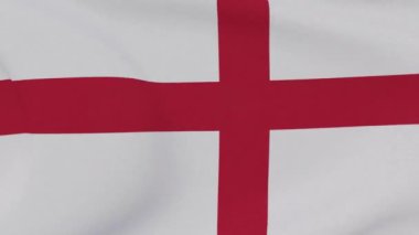 Kuzey İrlanda vatanseverlik bayrağı Ulusal özgürlük, kusursuz döngü