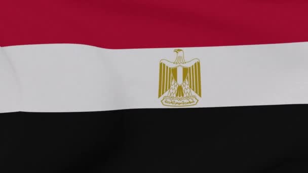 Флаг Египта патриотизм национальной свободы, бесшовный цикл — стоковое видео