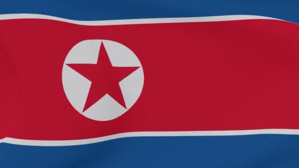 朝鲜民主主义人民共和国国旗爱国主义国家自由，无缝循环 — 图库视频影像