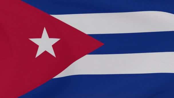 쿠바 애국심의 상징 국가의 자유, 무자비 한 반복 — 비디오