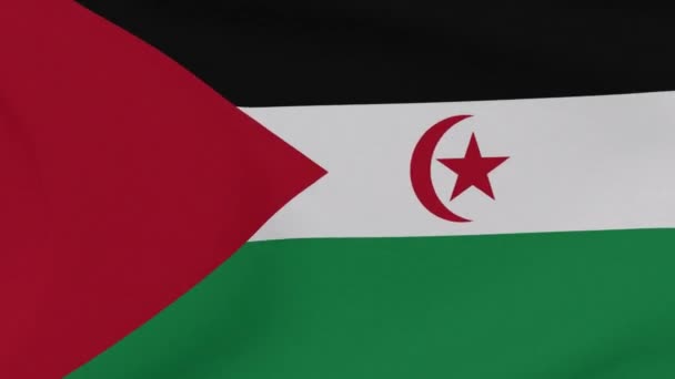 Flagge SADR Patriotismus nationale Freiheit, nahtlose Schleife — Stockvideo