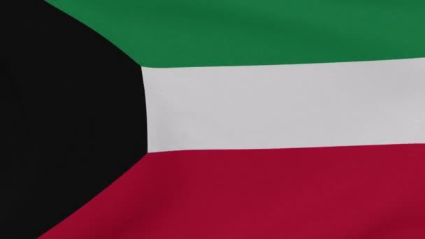 Drapeau Koweït patriotisme liberté nationale, boucle transparente — Video
