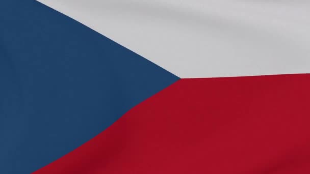 Drapeau République tchèque patriotisme liberté nationale, boucle transparente — Video