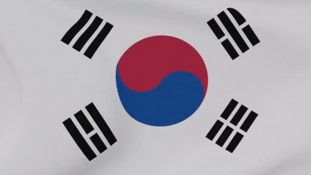 Flagga Republiken Korea patriotism nationell frihet, sömlös loop — Stockvideo