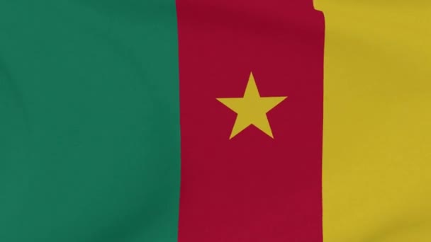 Drapeau Cameroun patriotisme liberté nationale, boucle transparente — Video