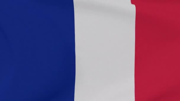 Флаг Франции патриотизм национальной свободы, бесшовный цикл — стоковое видео