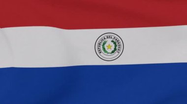 Bayrak Paraguay vatanseverliği Ulusal özgürlük, kusursuz döngü