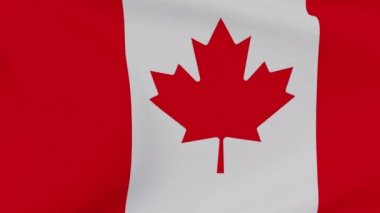 Kanada vatanseverliğinin bayrağı Ulusal özgürlük, kusursuz döngü