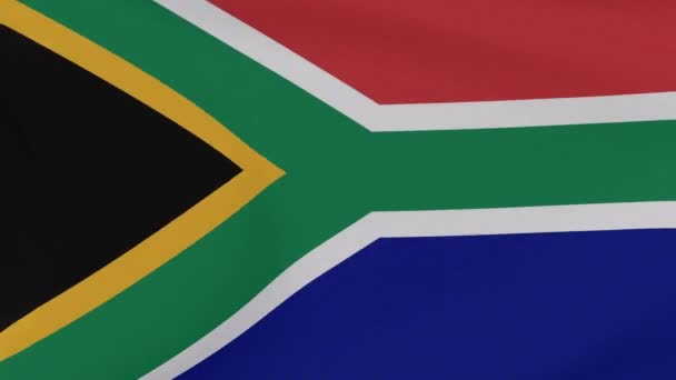 Flag South Africa patriotism national freedom, seamless loop — Stock Video