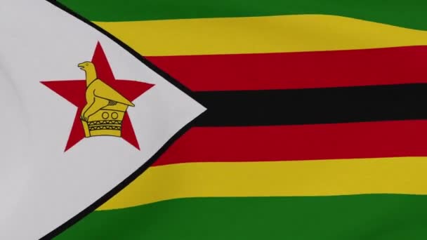 Drapeau Zimbabwe patriotisme liberté nationale, boucle transparente — Video