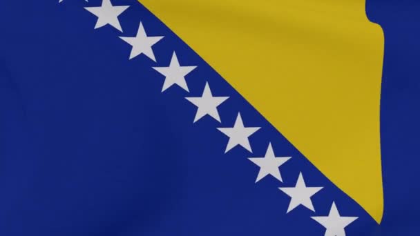 Bandiera Bosnia-Erzegovina patriottismo libertà nazionale, anello senza giunte — Video Stock