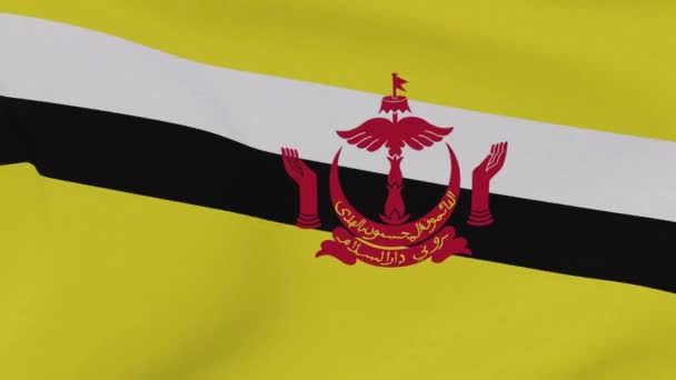 Flagga Brunei patriotism nationell frihet, sömlös loop — Stockvideo