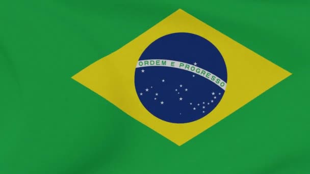 旗ブラジル愛国主義国家の自由シームレスなループ — ストック動画