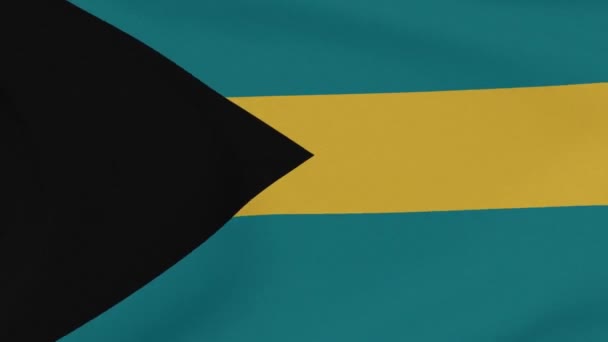 Bandeira Bahamas patriotismo liberdade nacional, loop sem costura — Vídeo de Stock