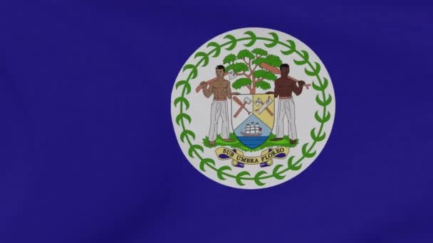 Flag Belize patriotism national freedom, seamless loop — Stock Video