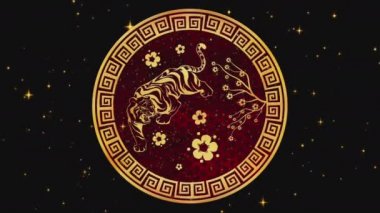 Mutlu Çin Yeni Yılı 2022, Zodyak işareti kaplan ve altın yıldızları. Çin festivalleri. 4K video animasyonu. Mutlu yıllar 2022, kaplan yılı.