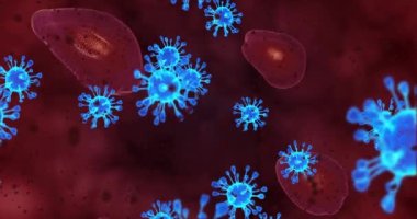 Coronavirus hücreleri. Mikroskop altında solunum enfeksiyonlarına neden olan bir virüs grubu. 3B görüntüleme döngüsü 4k