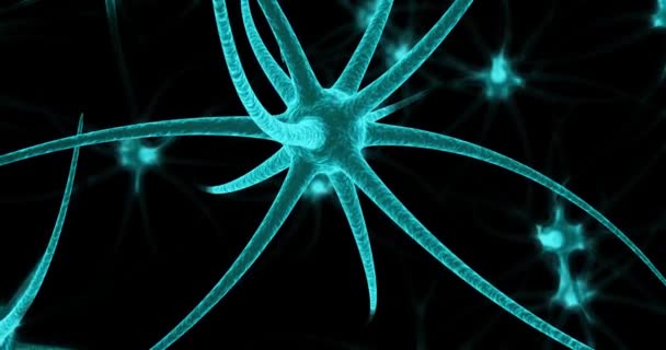 Neon Neuron Sejtek Fekete Háttérben Lopható Animáció Modell — Stock videók
