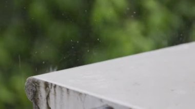 Yeşilliğin arka planına karşı beyaz bir adımda yağmur damlaları. Yüksek kaliteli FullHD görüntüler