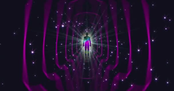 Looped Animation Enlightenment Multi Colored Energy Human Aura Fields Forming — Stockvideo