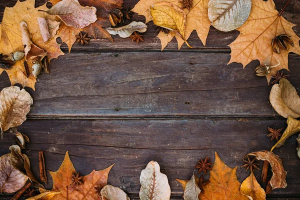 Thanksgiving background. Autumn leaves on wooden background with copy space.