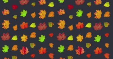 Animated pattern of rotating dry autumn leaves with congratulations on blackboard background, happy thanksgiving day background concept. High quality 4k footage