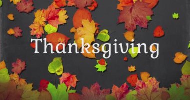 Animated dry autumn leaves background with shadow on dark background, happy thanksgiving day background concept. High quality 4k footage