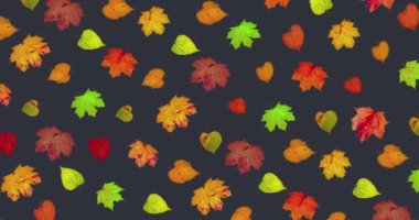 Animated pattern of rotating dry autumn leaves with congratulations on blackboard background, happy thanksgiving day background concept. High quality 4k footage