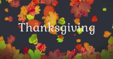 Happy Thanksgiving. Animated Card with falling autumn leaves, the concept a happy thanksgiving day, discount and sale for this holiday. High quality 4k footage