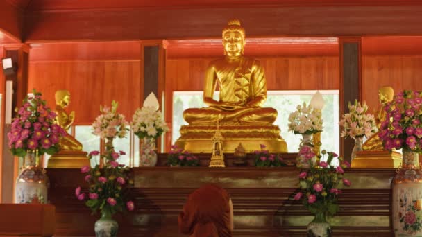Буддийский Монах Поклоняется Перед Статуей Будды Храме Высококачественные Кадры — стоковое видео